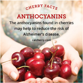 nutrition-anthocyanins